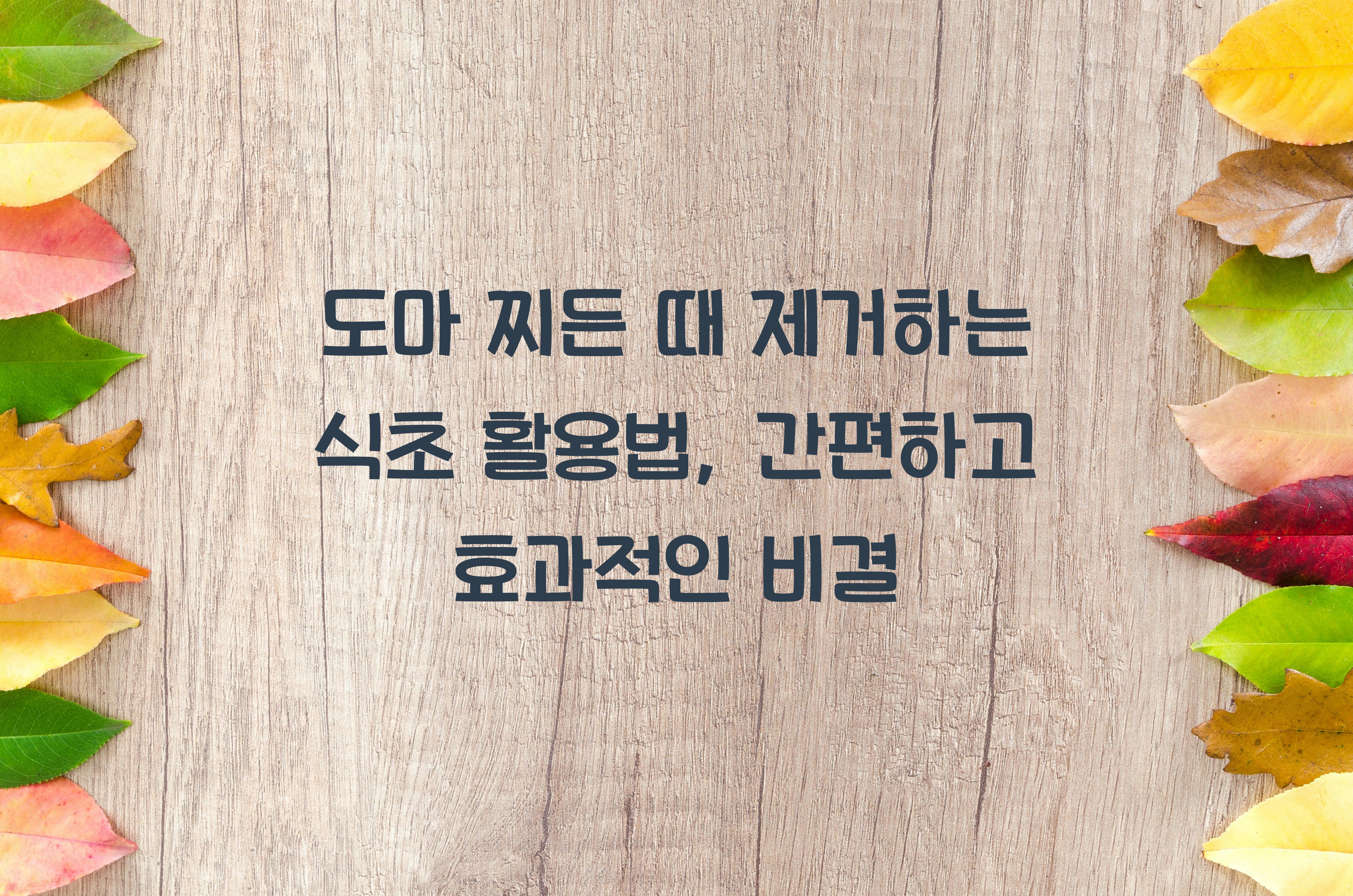 도마 찌든 때 제거하는 식초 활용법