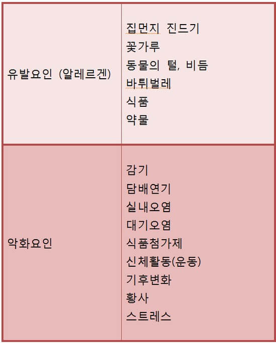 천식의 원인과 악화요인