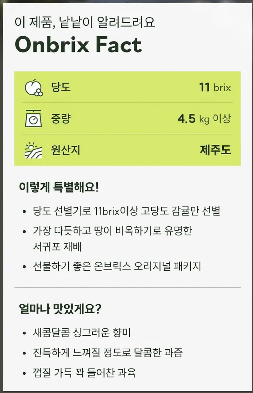 제주 타이벡 감귤