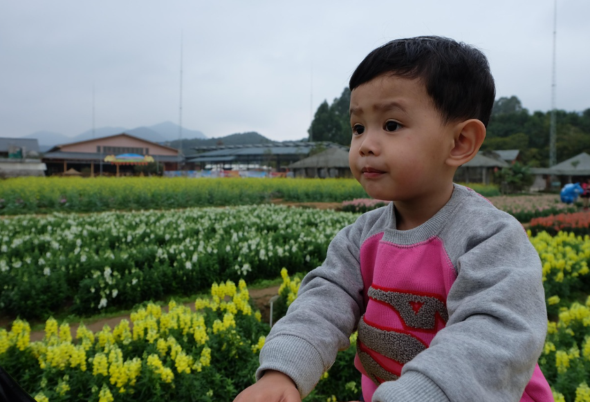 아이와 봄나들이 사진