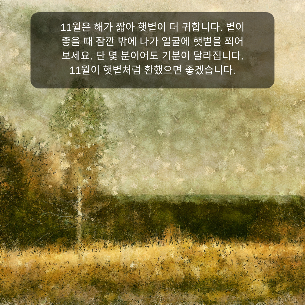 11월 인사말 25 햇볕 귀한 11월 인사말 이미지