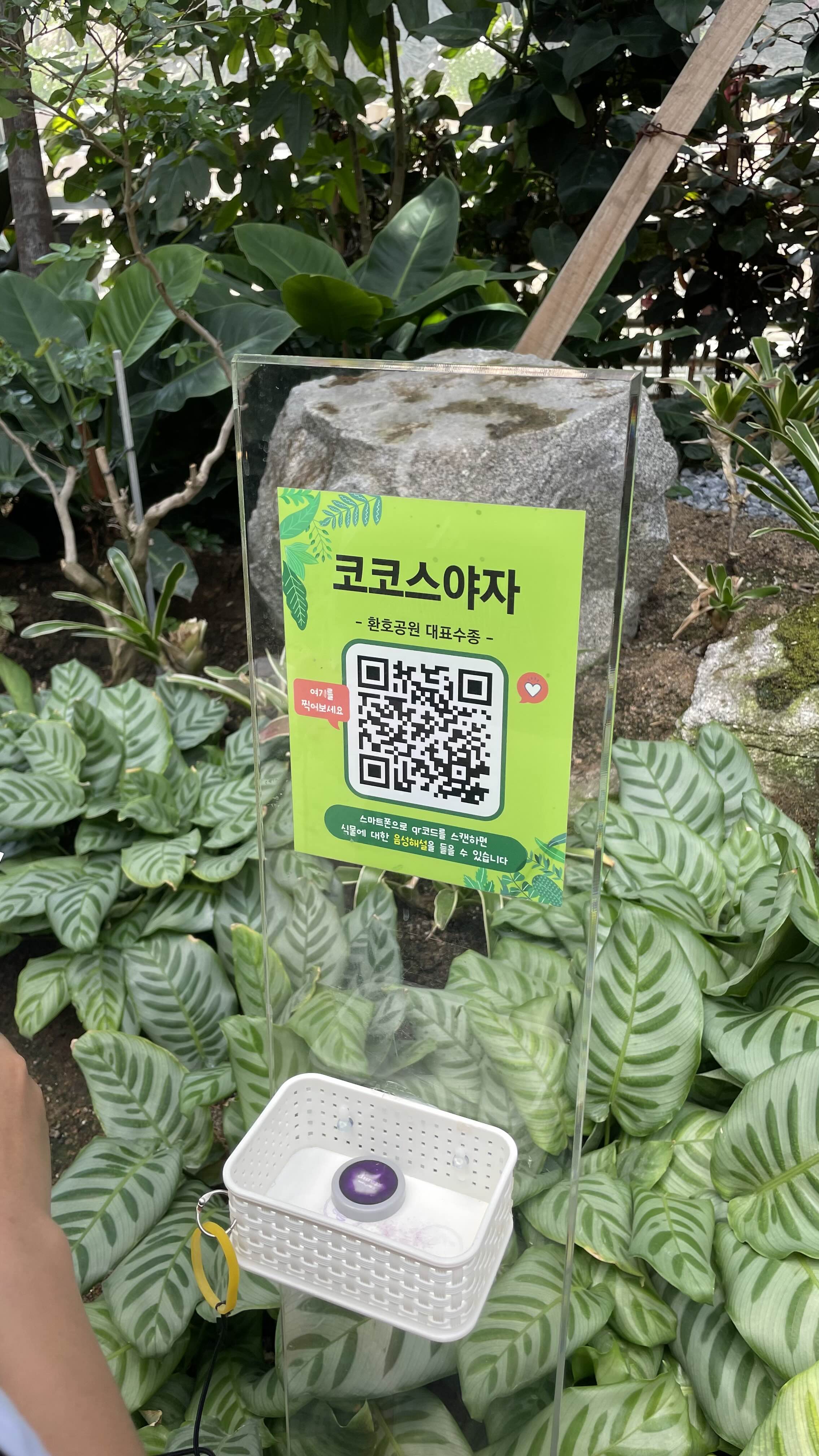 환호공원 식물원