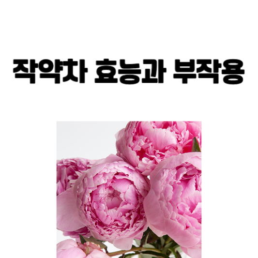 작약차 효능과 부작용