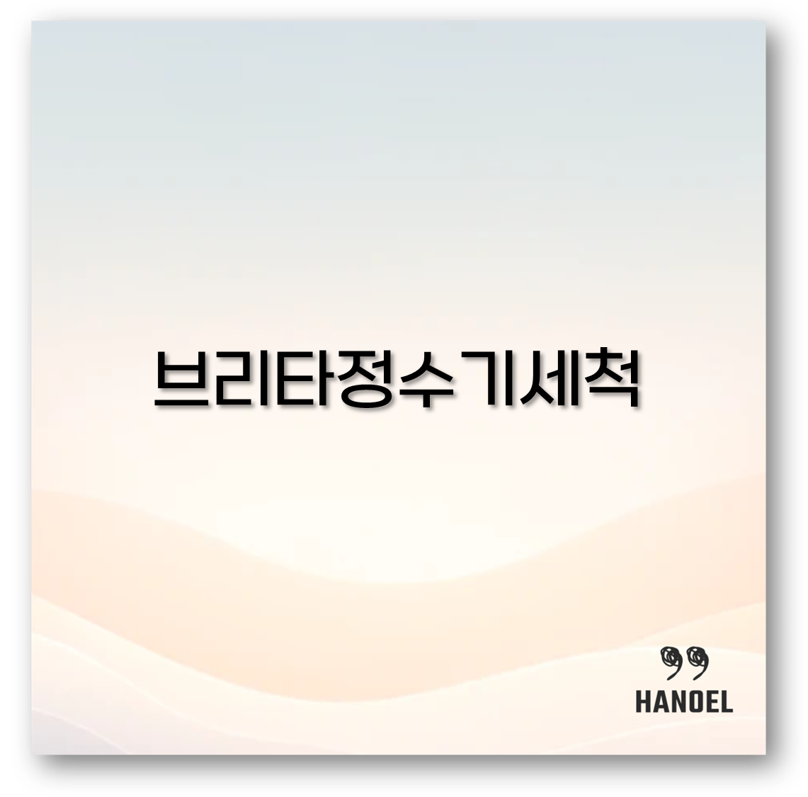 브리타정수기세척