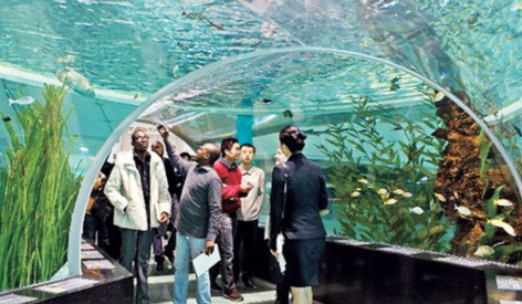 '2025 뮤지엄나잇 오션필름위크', 부산에서 열리는 해양영화제 일정과 관람팁