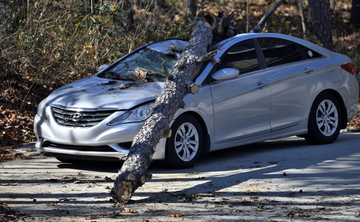 다이렉트 자동차 보험 가입시 주의사항