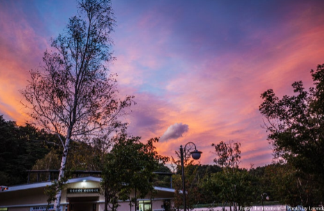 평창 국립대관령야영장
