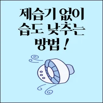 제습기 없이 습기 제거 끝 숯 염화칼슘 등 천연 제습제 활용법 완벽 가이드_14