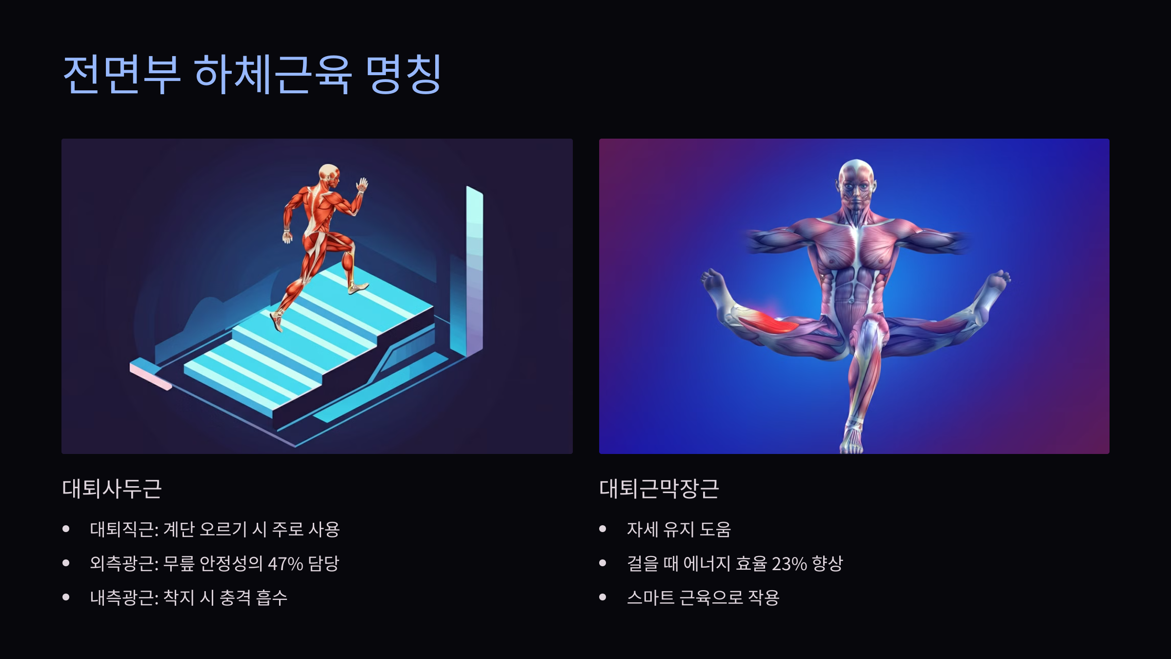하체근육명칭 하체근육중요성 하체근력강화운동