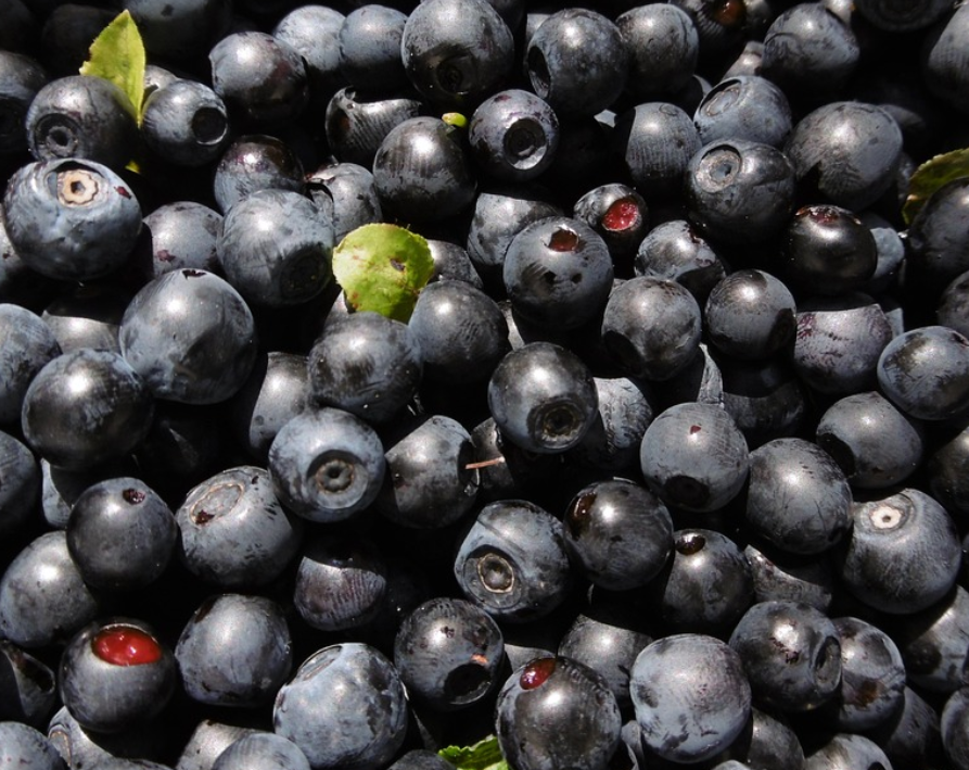 수학능력시험 아침 식단과 도시락 메뉴