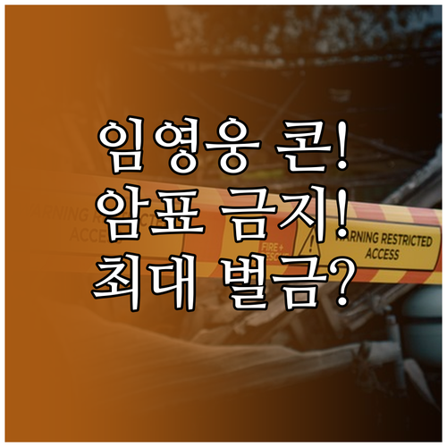 임영웅 콘서트 암표 사면 안 되는 이..