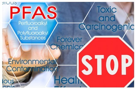 PFAS 검출