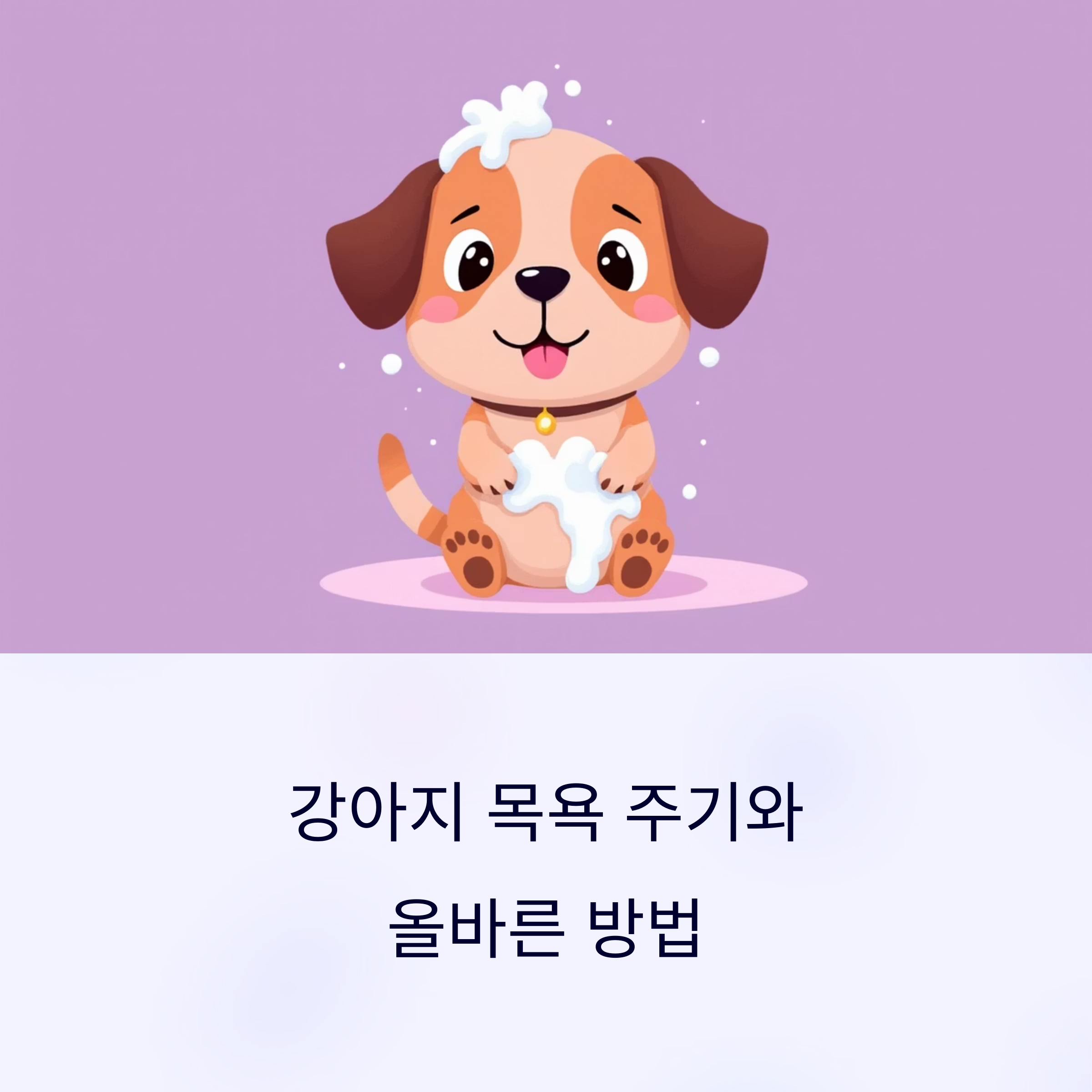 강아지 목욕 주기와 올바른 방법