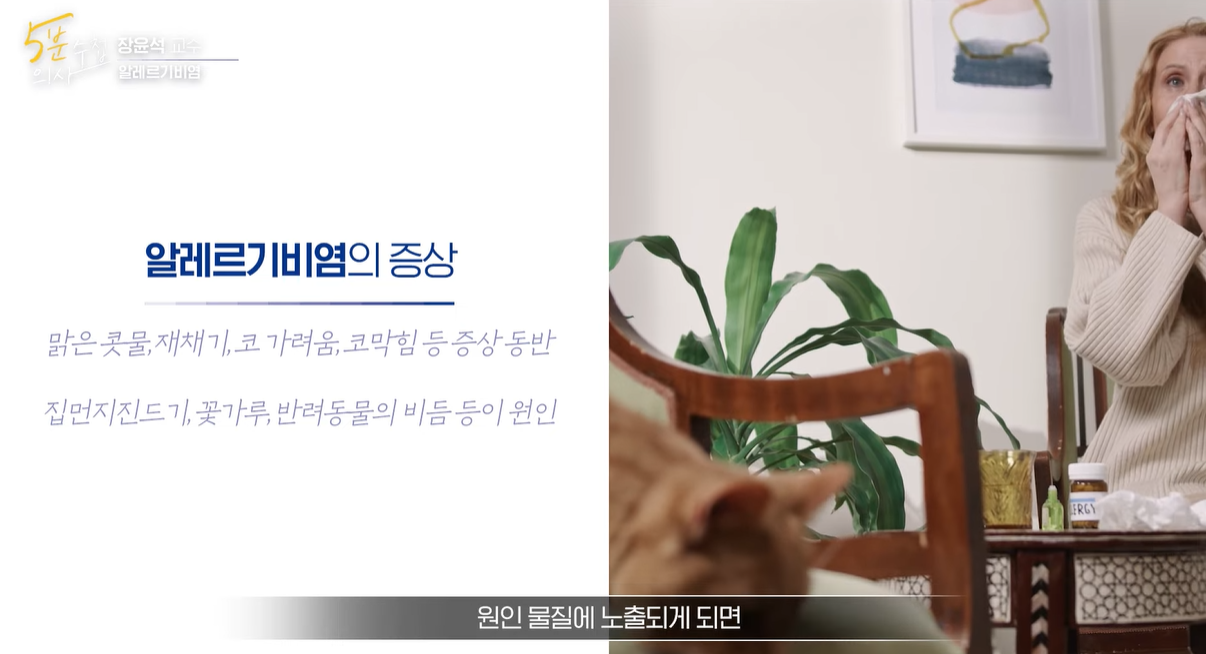 알레르기 비염 증상