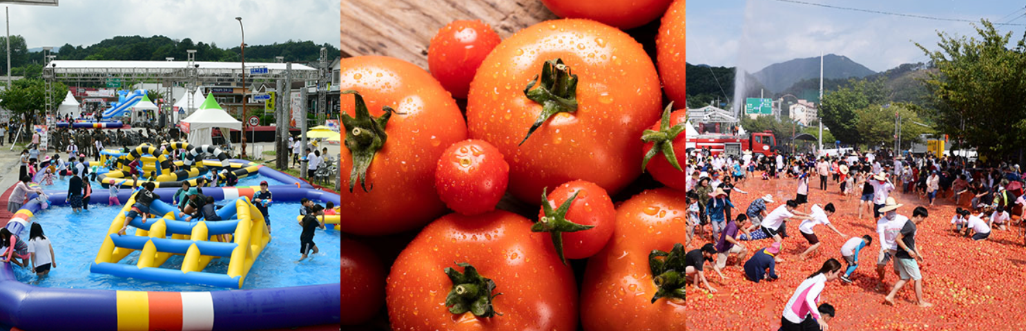 2025 화천 토마토 축제