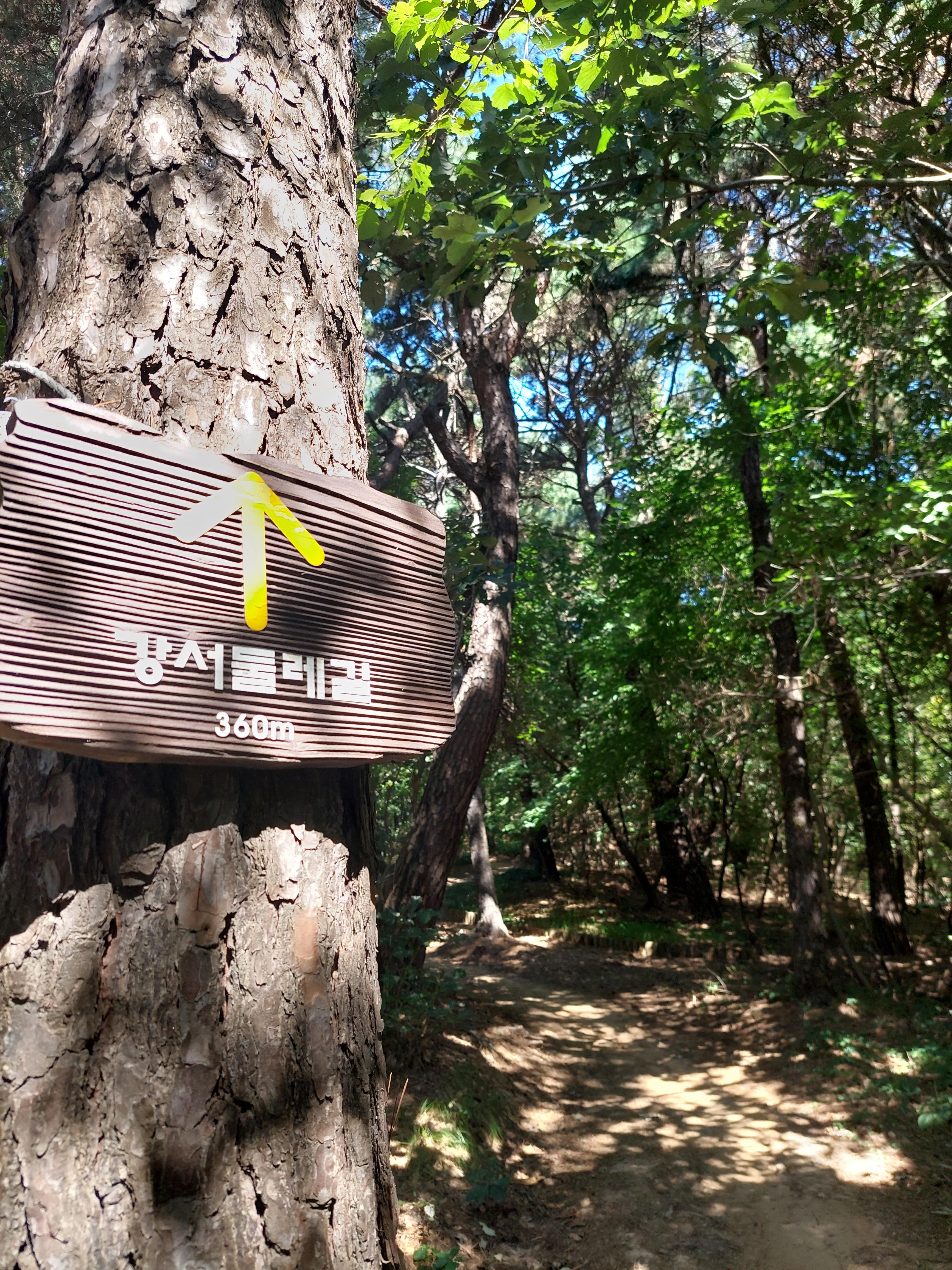 개화산