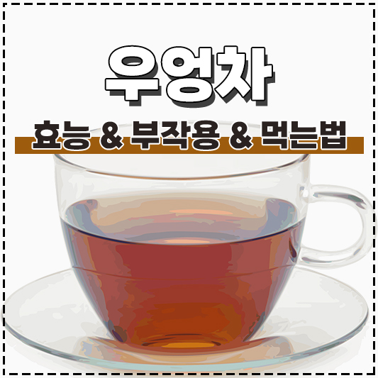 우엉차 효능 부작용 먹는 법