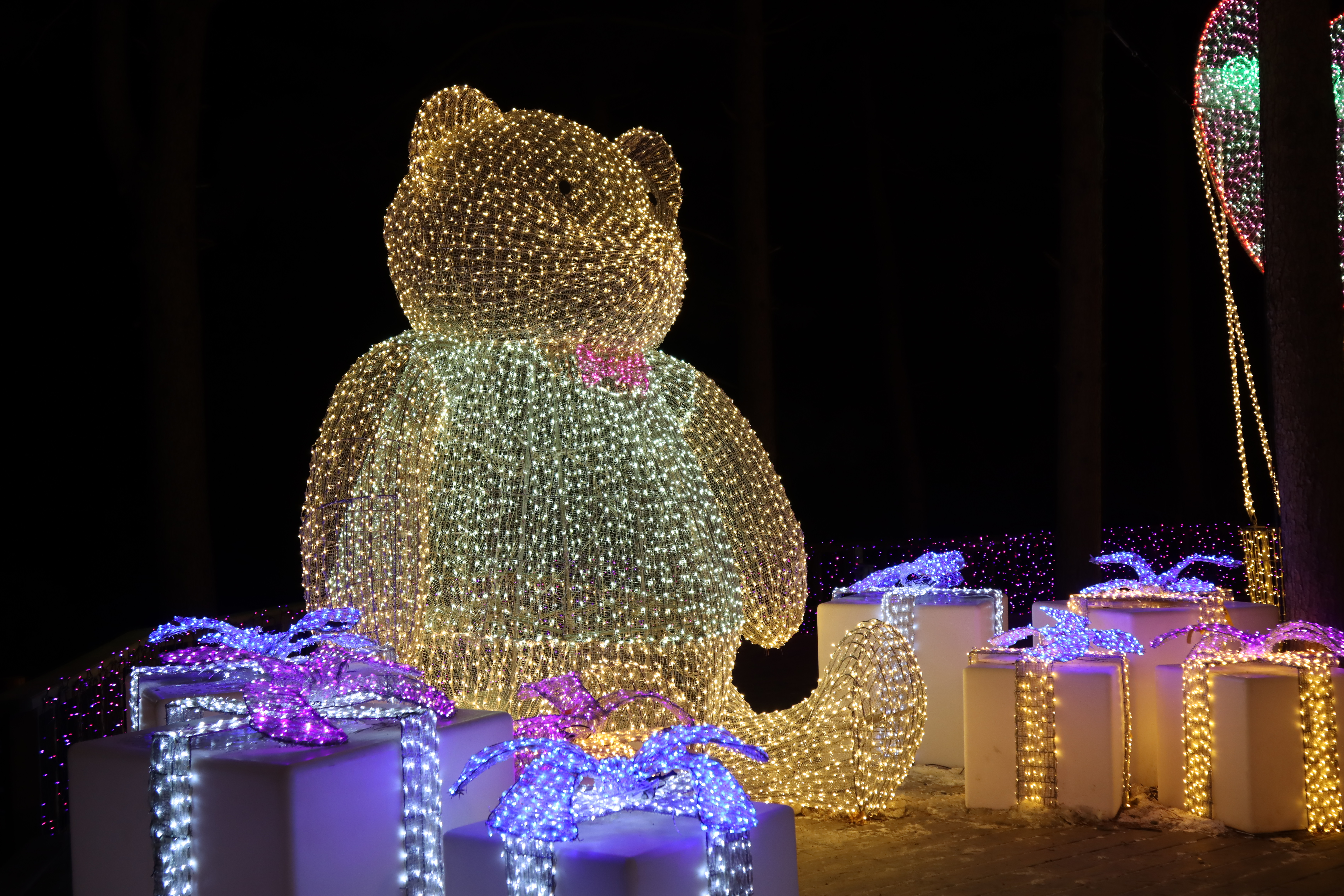 아침고요수목원