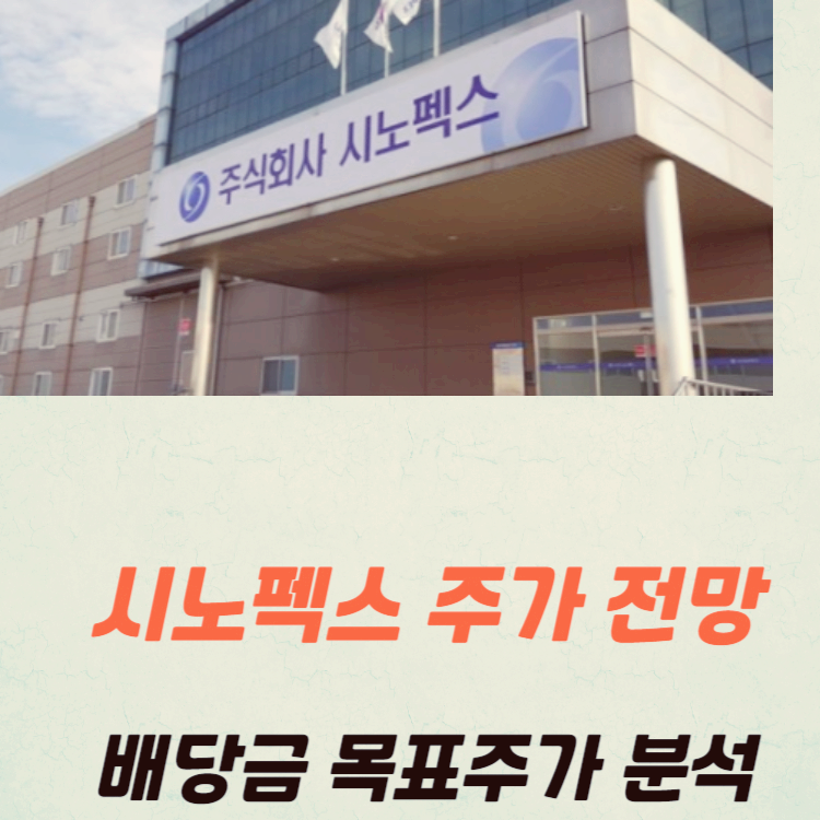 시노펙스 주가 전망 배당금 목표주가 분석