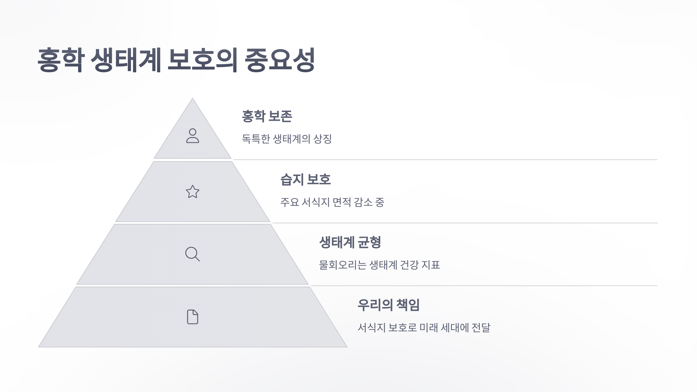 참조-홍학-먹이-사냥,-물회오리-5