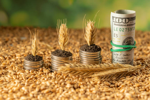 소비 관리 및 예산 세우기