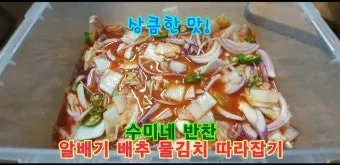 배추물김치 담그는 황금레시피와 알배추 손질법 소개_3