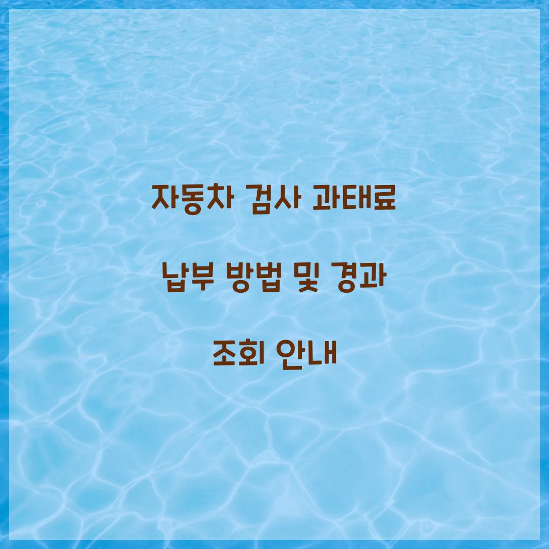 자동차 검사 과태료 납부 방법
