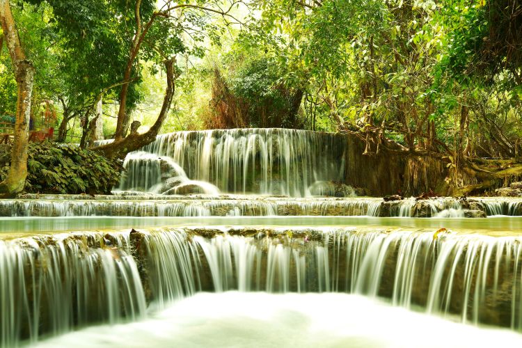 푸른 숲 속에서 계단식으로 떨어지는 쿠앙시 폭포의 청량한 모습, 힐링 여행지로 손꼽히는 루앙프라방의 자연 명소입니다