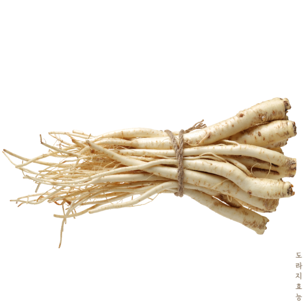 도라지 효능│도라지 효능 부작용 알고 드세요!
