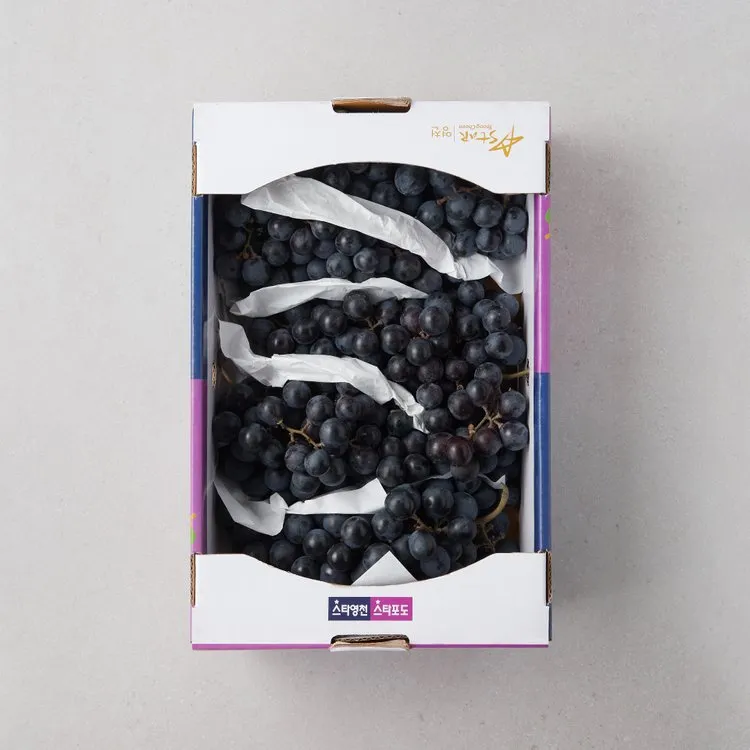 머루포도 효능키우기제철머루포도주 담그기먹는 방법보관 방법 안내_6