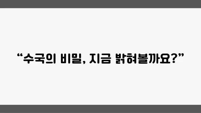 여름철 수국의 개화와 감상하기