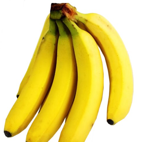 장염에 좋은 음식