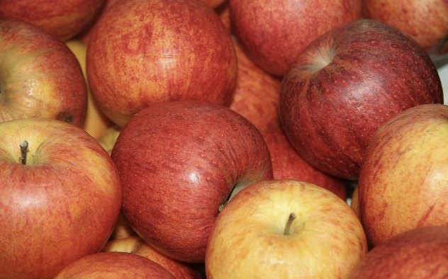 제철 농산물 구매 가이드: 계절별 최고의 맛을 즐기는 방법