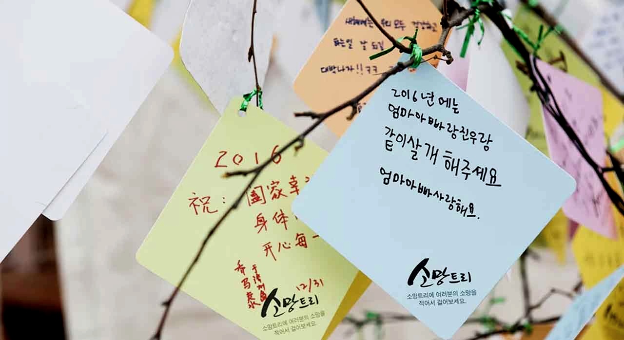 새해가 시작되며 각자의 소원들을 소망트리에 적어 놓는다. [ⓒ성산일출축제 공식 홈페이지]