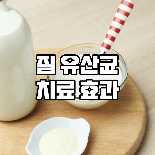 질 유산균 치료 효과