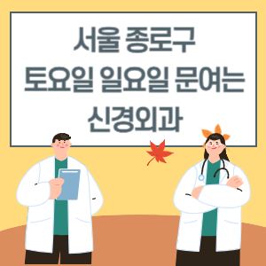 서울 종로구 토요일 일요일 신경외과 진료 병원 리스트