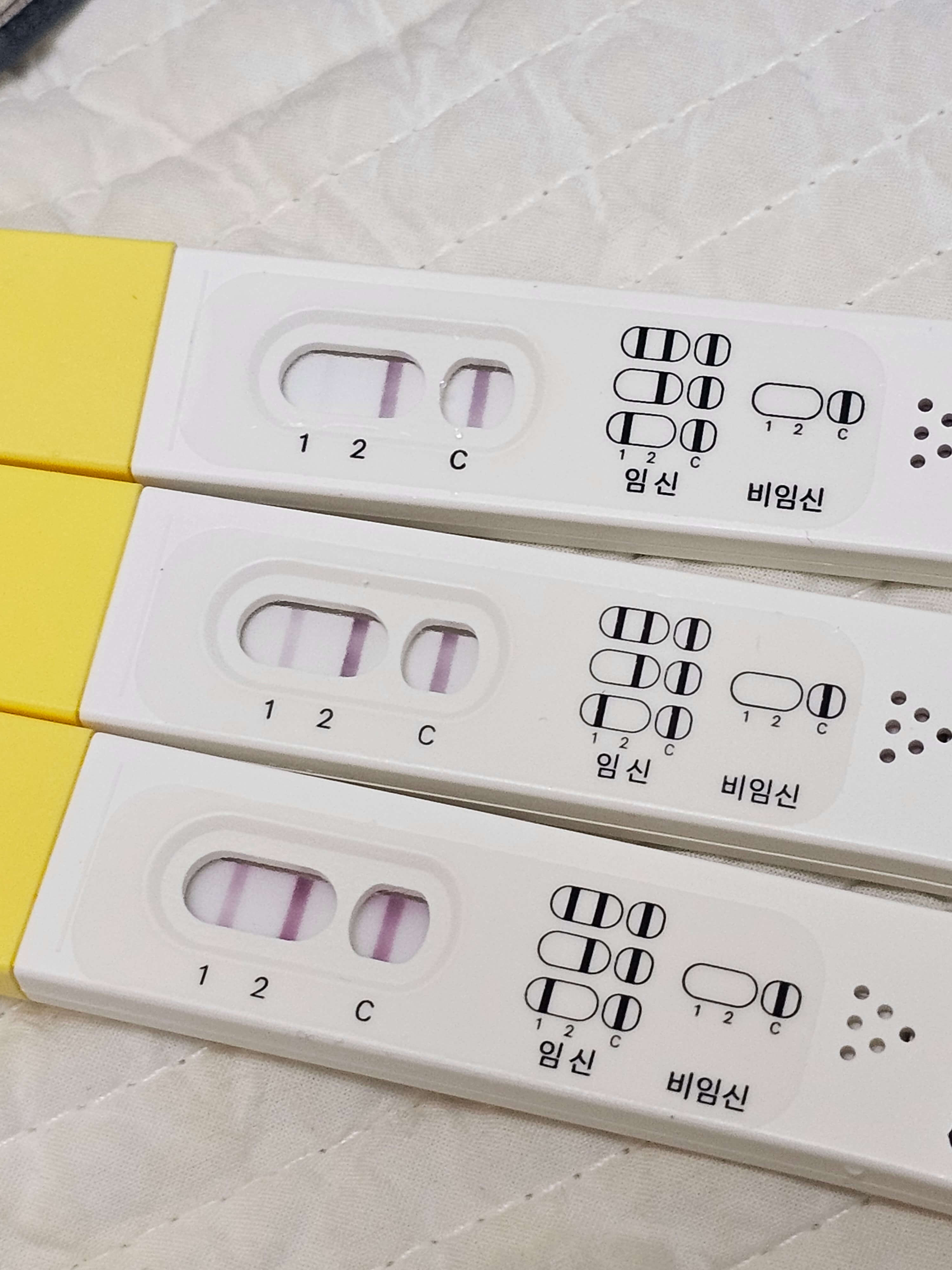 쓰리라인-임테기