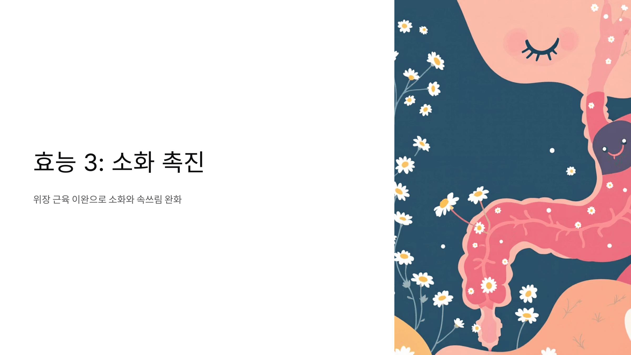 캐모마일차 사진입니다.