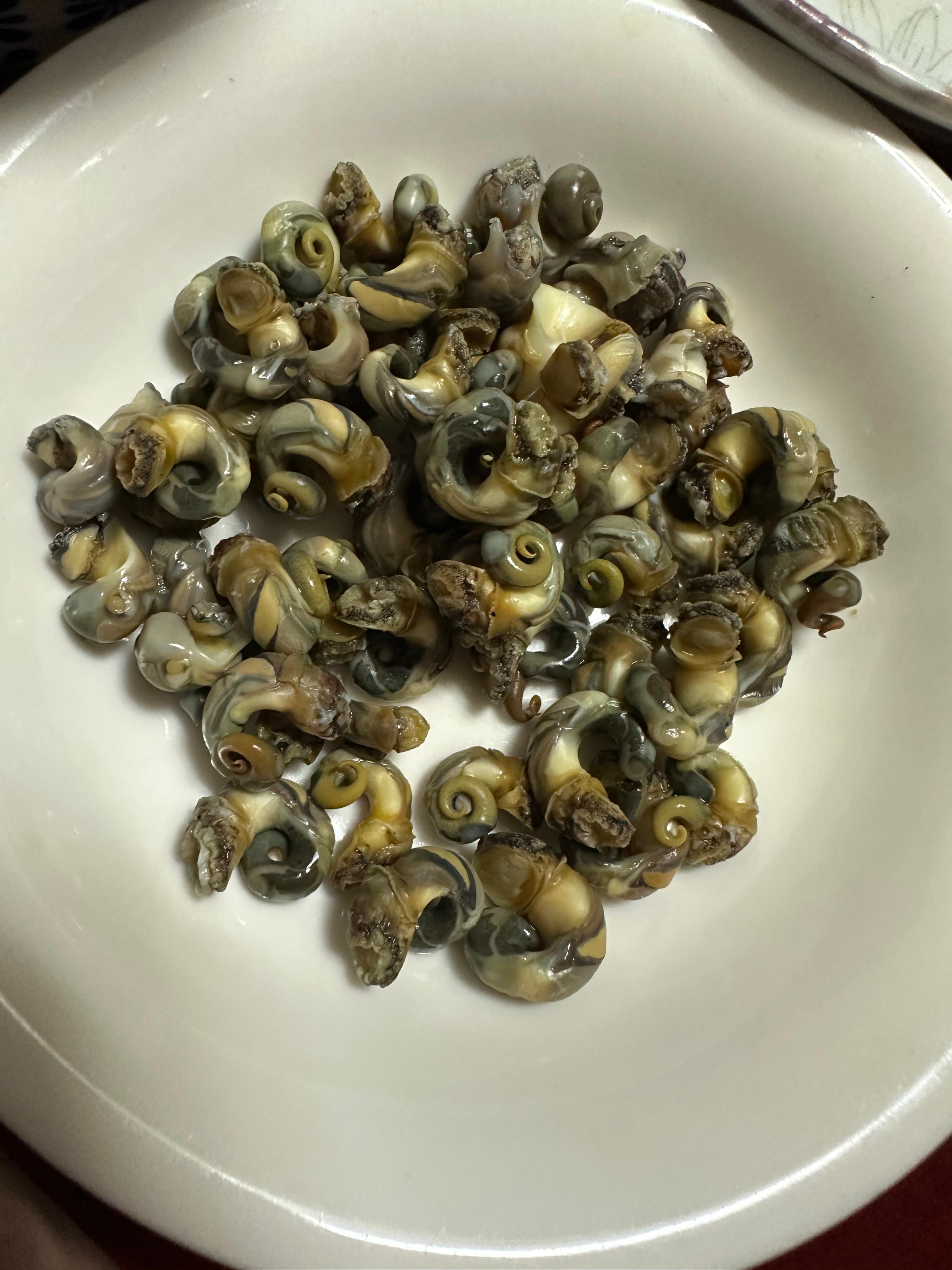 Super Simple Clam Soup Recipe(Healthy clam soup, fresh clams and horn snails, ultra-simple and light, full of rich ocean flavor, mudflat experience in Muchangpo, Boryeong, South Chungcheong, boiling horn snails and small clams, healthy homemade meal, easy soup recipe)