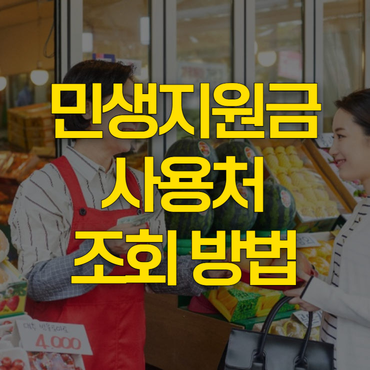 민생지원금-사용처-조회-대표-사진