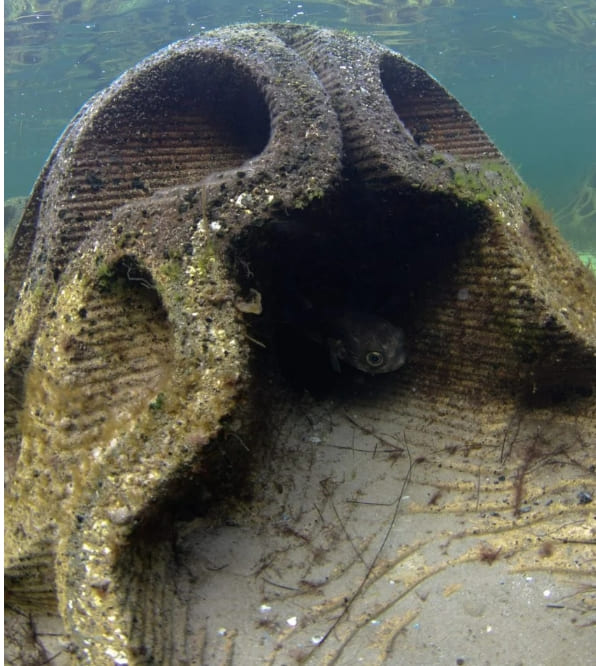 재활용된 굴 껍질로 만든 침식 완화 장치 VIDEO: Reef Design Lab crafts Erosion Mitigation Units from recycled oyster shells