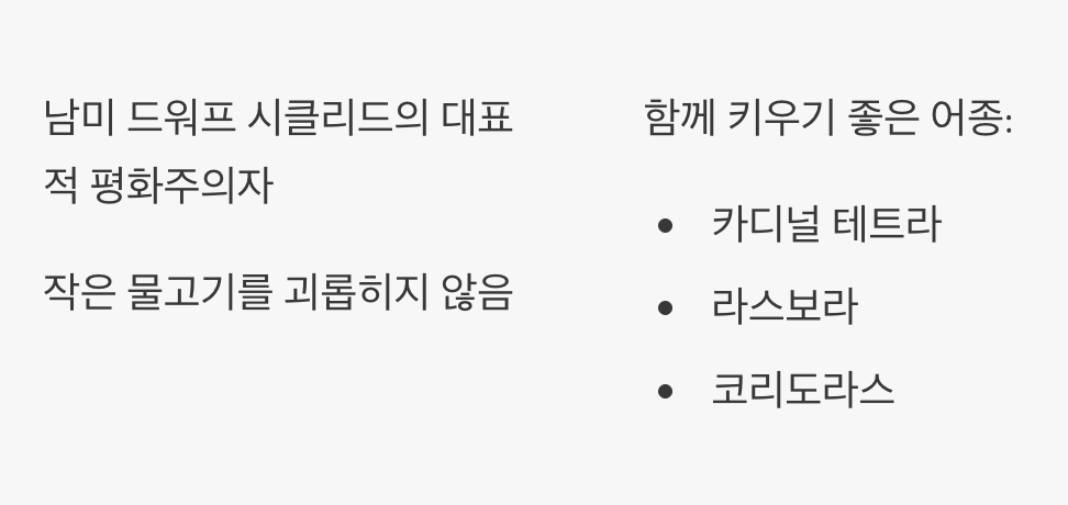 시클리드 편견을 깨는 온순함