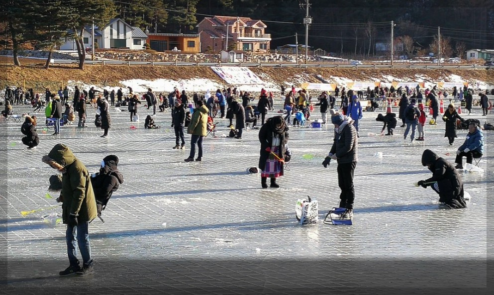 평창 송어 축제