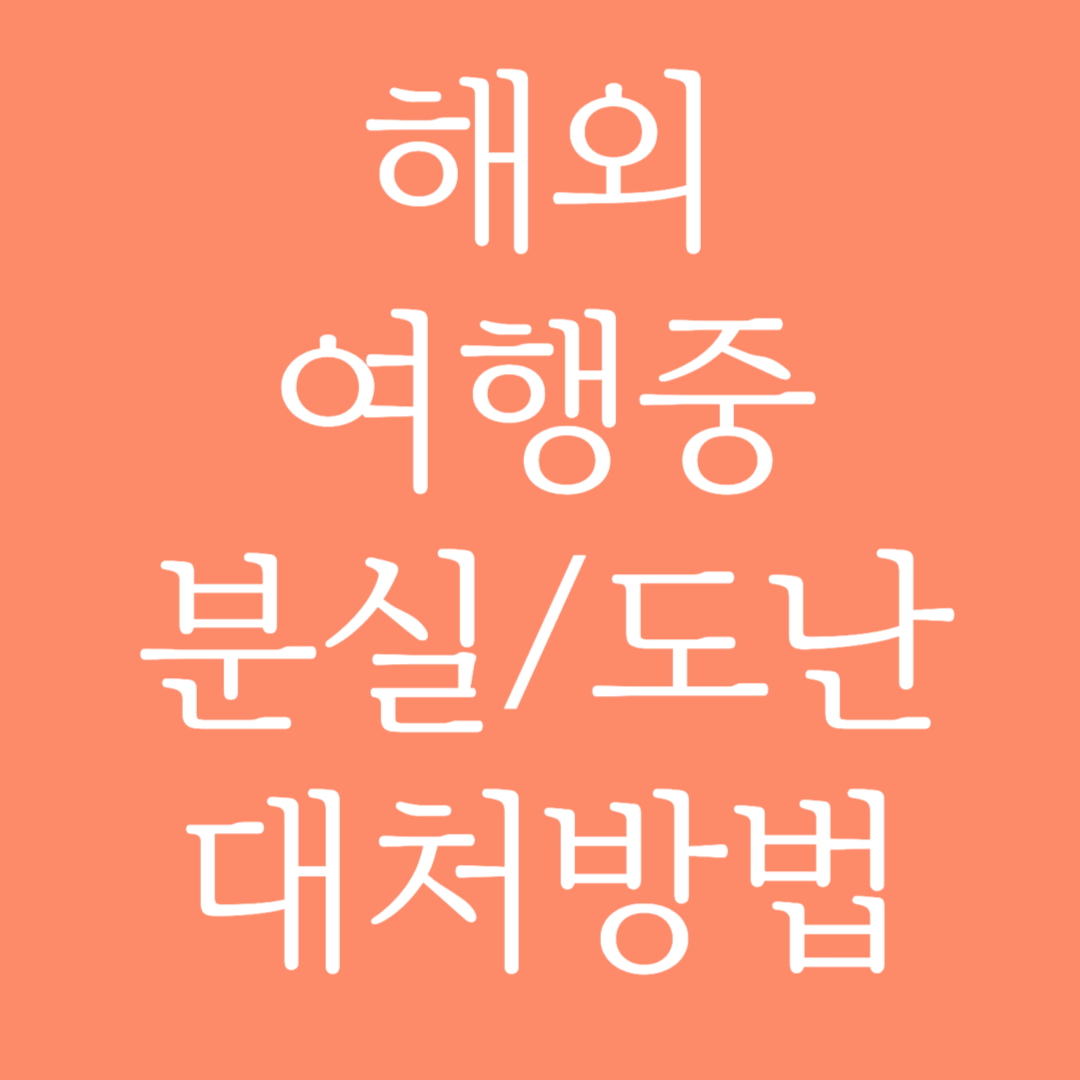 해외 여행중 분실,도난 대처방법