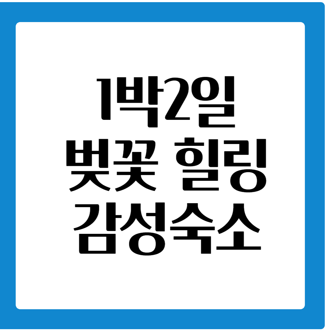 1박2일 벚꽃 힐링 감성 숙소