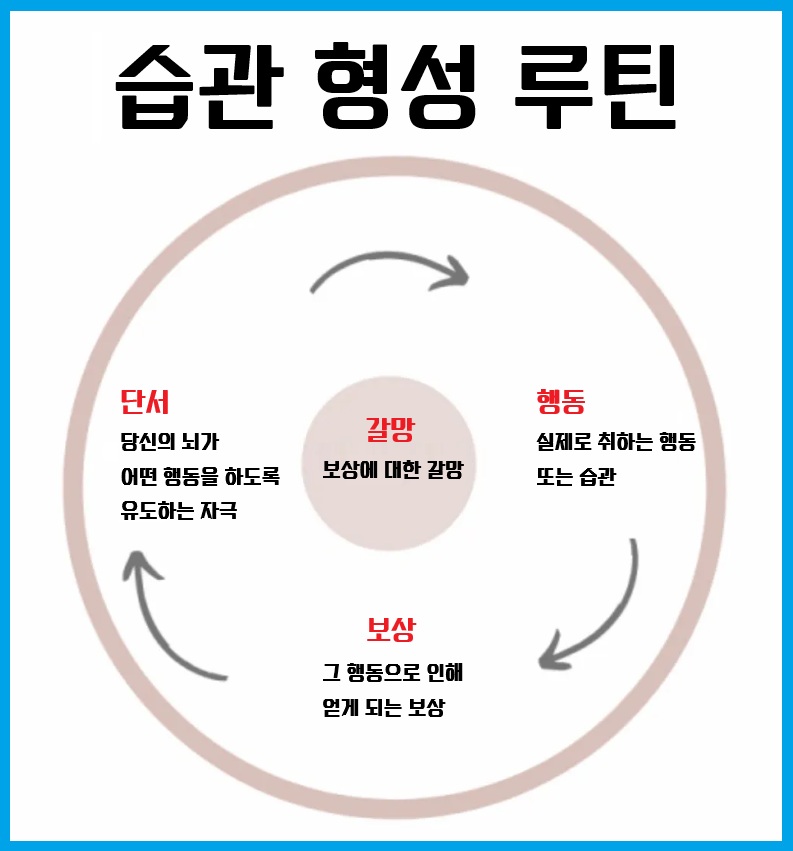 21일 습관 형성 과정