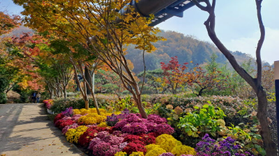 단풍명소_화담숲_하경정원