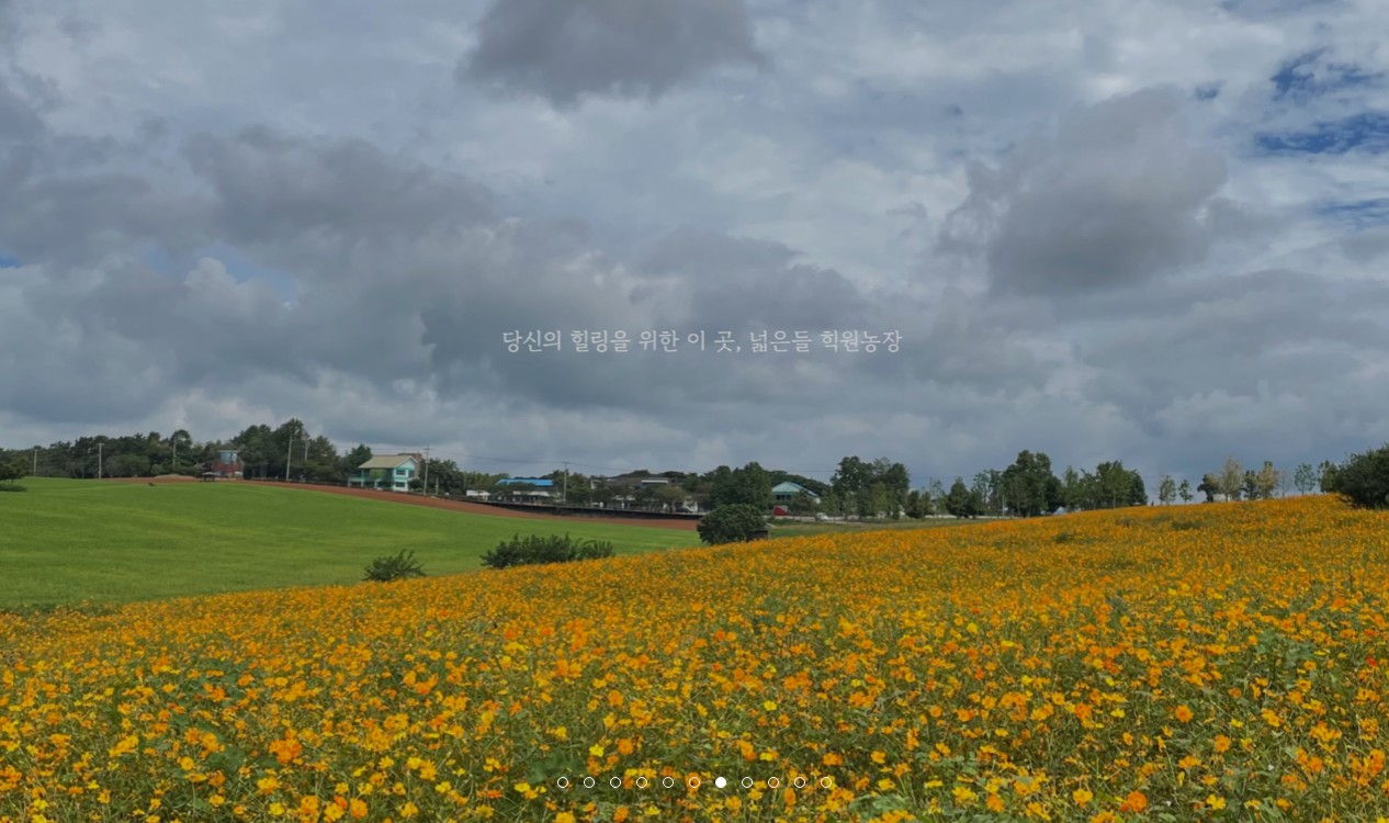 힐링을 위한 곳 고창학원농장