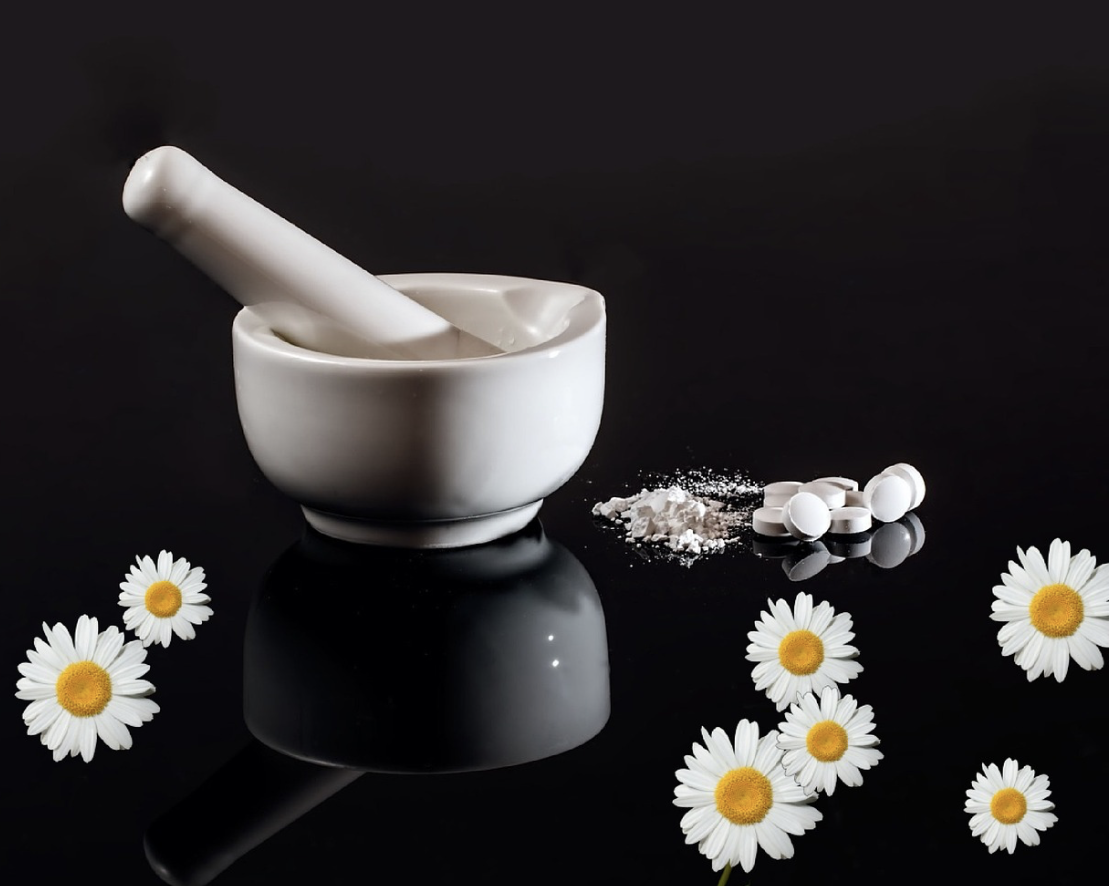 민간요법에서 의학으로: 약초 지식의 진화