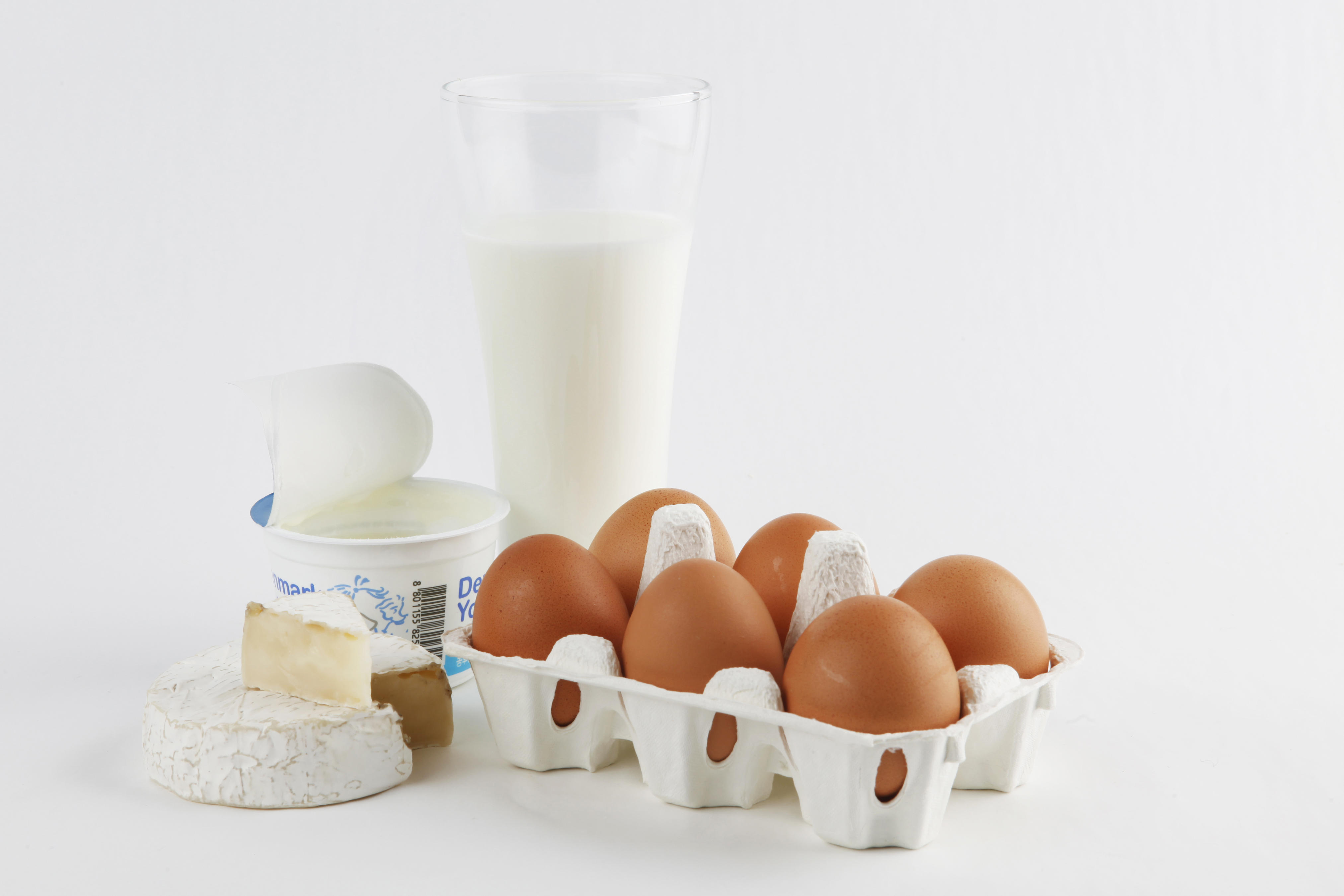 단백질이 풍부한 제철 식재료와 조리법